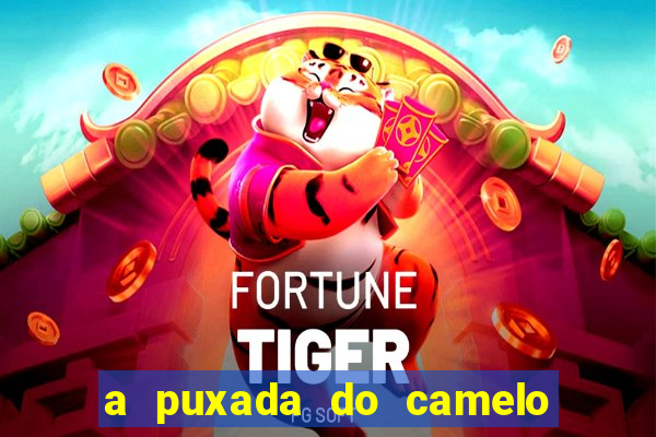 a puxada do camelo no jogo do bicho